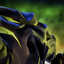 Vexira, Mother of Nightmares Icon